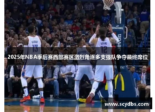 2025年NBA季后赛西部赛区激烈角逐多支强队争夺最终席位