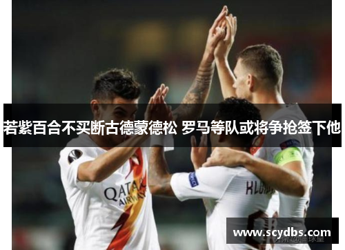 若紫百合不买断古德蒙德松 罗马等队或将争抢签下他