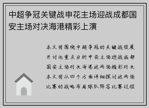 中超争冠关键战申花主场迎战成都国安主场对决海港精彩上演